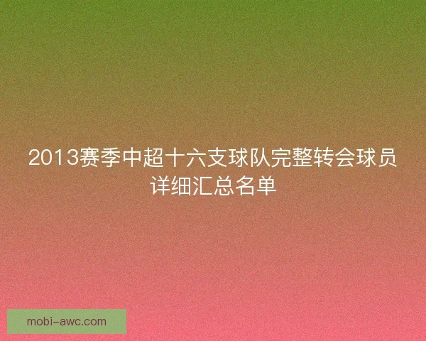 2013赛季中超十六支球队完整转会球员详细汇总名单