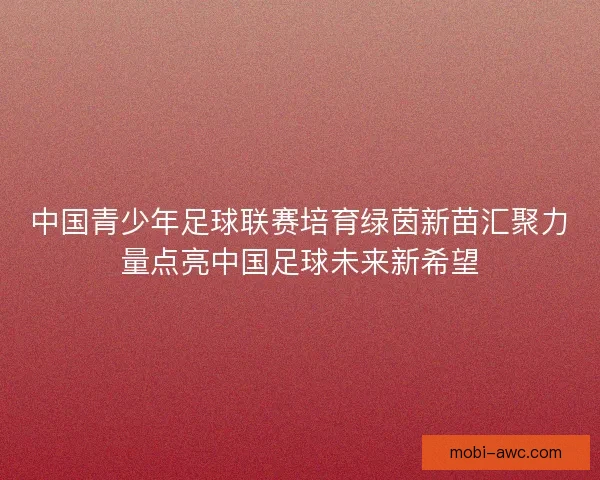 中国青少年足球联赛培育绿茵新苗汇聚力量点亮中国足球未来新希望